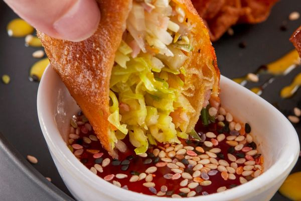 Frühlingsrollen im Shin Sekai Asiatisches Vietnamesisches Sushi Restaurant Aschaffenburg